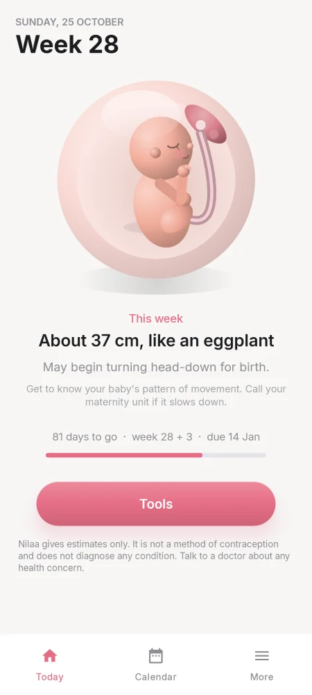 nilaa pregnancy mode at week 28